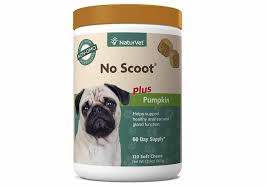 We did not find results for: 10 Great Sources Of Fiber For Dogs Great Pet Care