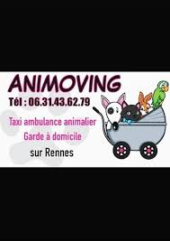Animoving