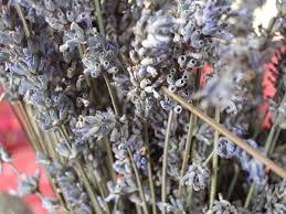 Place several dried lavender bunches of different types of lavender flowers. Drying Lavender How To Dry Lavender Flowers At Home Dengarden
