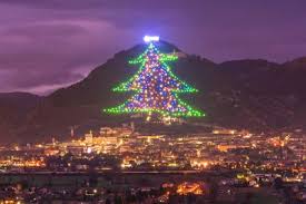 Early european pagans would use evergreen branches to brighten up their homes during legend has it that a poor little boy out in the humid jungles prayed to the heavens for a sign of christmas. The Most Famous Biggest And Best Christmas Trees From Around The Globe