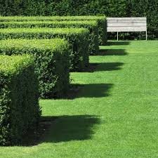 Pin On Inspirational Gardens To Visit Uk