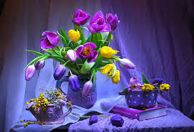 Alpha coders 107 wallpapers 17 mobile walls 1 art. Photography Still Life Book Curtain Flower Pitcher Purple Purple Flower Hd Wallpaper Wallpaperbetter