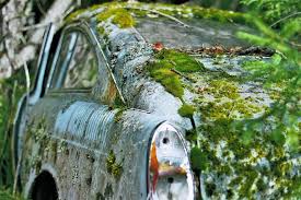 Maybe you would like to learn more about one of these? Hundreds Of Classic Abandoned Cars Hidden In Swedish Forest Bored Panda