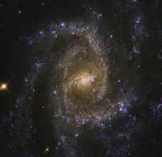 Also called arp 12, it's about 62,000 light years across, smaller than the milky way by a fair margin. Ngc 2835 Wikipedia