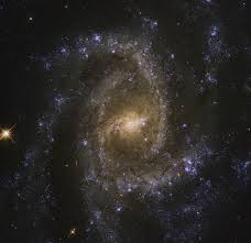 It is considered a grand design spiral galaxy and is classified as sb (s)b. Ngc 2835 Wikipedia