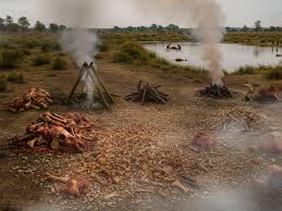 Camilaax01 exposed - each arousing frame from her onlyfans collection