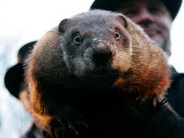 Make sure you pack plenty of warm clothes for outdoor activities. Groundhog Day Is A Big Party In Punxsutawney