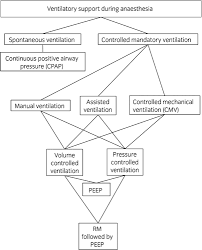 maintenance of equine anaesthesia over the last 50 years