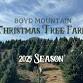 Opening Day at Boyd Mountain Christmas Tree Farm event image