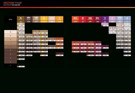 Paul Mitchell The Color Xg Chart Best Picture Of Chart