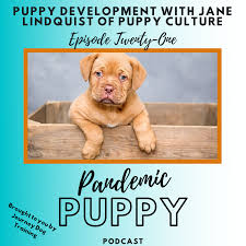 Check spelling or type a new query. Puppy Development And Puppy Culture With Jane Lindquist Journey Dog Training