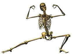 Learn about the human body and how its systems work together. Human Anatomy Basics Major Bones Of The Skeletal System Bodybuilding Wizard