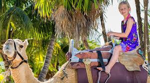 The latest tweets from the camel (@thecamelrva). Camel Safari Tour Cancun Adventure Tour