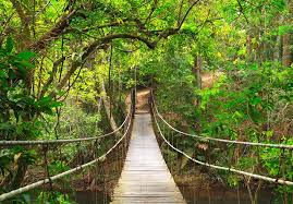 This national park covers more than 2,000 square kilometers of evergreen forests, mountains and grasslands, which offer a variety of hiking trails khao yai national park is a popular place for me to relax here when driving through a path in the middle of the valley that meanders between shady trees. Exploring Khao Yai National Park A Visitor S Guide Planetware