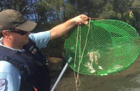 Offices will remain capped at 50 per cent. New Yabby Net Give Away