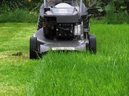 Maybe you would like to learn more about one of these? Bio Landscape Bio Landscape Twitter