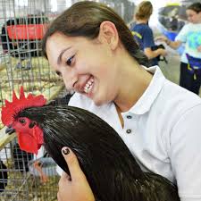 Fair season to kick off in Saratoga