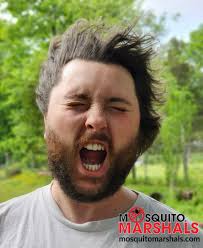 That wind finally died down PHEW! 😲🌬️🌪️ Look for our guys in YOUR yard  soon!! 📱(228) 278-8790 if you need us sooner 👊 #bugseason  #mosquitomarshals #reclaimyouryard #beatthebugs