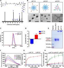 B agreeing with someoneâs opinion. Dual Ph Sensitive Nanodrug Blocks Pd 1 Immune Checkpoint And Uses T Cells To Deliver Nf Kb Inhibitor For Antitumor Immunotherapy Science Advances
