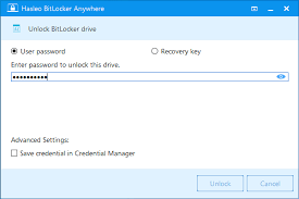 Tim fisher has more than 30 years' of professional technology experience. How To Unlock Bitlocker Encrypted Drive With Bitlocker Anywhere