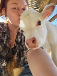 Couldn't ask for a nicer day to move cows.