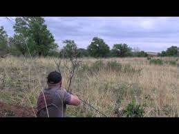 Coyote Decoy Dog Hunt --- Episode #17