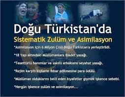 Dogu Turkistan Panosundaki Pin