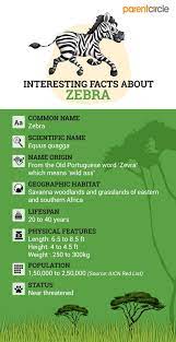 Facts About Zebras For Kids In 2021 Animal Facts For Kids Fun Facts Facts For Kids