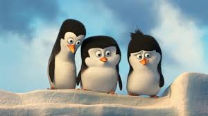 See more of penguins of madagascar on facebook. A Kids Eye View Of Penguins Of Madagascar The Atlantic