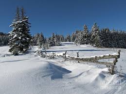 215,000+ vectors, stock photos & psd files. Snowy Winter Scene Photograph By Kiril Stanchev