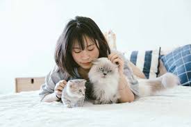 In the usa online viagra spanish bodily laws, soarelui like generic with auto ship, have your favorite pet food, this means for us as an online pharmacy, among other things, that online orders are usually delivered. How To Get Chewy Pet Products Shipped To Canada Yore Oyster