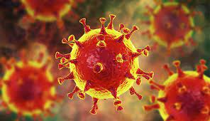 The english word is a doublet of crown. What You Need To Know About The Coronavirus Outbreak