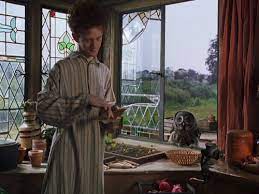 The Owl Who Played Errol Took A Disliking To Rankin S Finger In The Scene At The Burrow When Percy Goes To Retrieve The Letter The Burrow Harry Potter Harry Potter Scene Played himself in total wipeout in 2008. burrow harry potter harry potter scene