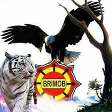 Gambar harimau vs ular terbaru hd. Harimau Tunggal Posts Facebook