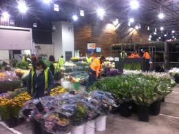 Get free wholesale direct flowers now and use wholesale direct flowers immediately to get % off or $ off or free shipping. Melbourne Wholesale Flower Market Tours In Epping Melbourne Vic Tours Truelocal