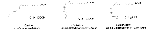 C 17 h 33 cooh. Http Www Staedtisches Gymnasium Wermelskirchen De Sites Default Files Chemie 7 20stoffklassen 20der 20bio Chemie Pdf