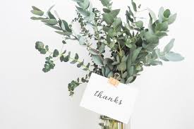 Real estate thank you cards. Thank You Letter Examples For Real Estate Marketing Pumeli