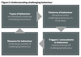 Tranquillisation Of Patients With Aggressive Or Challenging