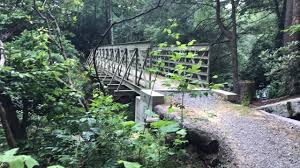 The overnight low will be 65 °f (18.3 °c). Trails Cloudland Canyon State Park