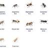 Maybe you would like to learn more about one of these? 1