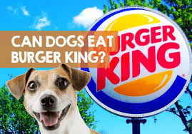 It's based upon a study published by the respected waltham centre for pet nutriton in leicestershire, england. Can Dogs Eat Burger King Dog Friendly Bk Food List