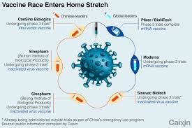 Sinovac Demonstrates Safety Of Vaccine That Doesn T Need Deep Freeze Caixin Global