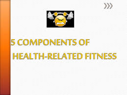 By darren allan intel's rocket lake flagship isn't so fast on ubuntu compared to windows 10 going by a host of benchmarks. Ppt 5 Components Of Health Related Fitness Powerpoint Presentation Free Download Id 4214652
