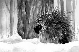 Snow removal grader plowing streets. Tag Archive For Fishers The Adirondack Almanack
