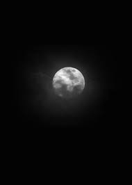 In soli tre giorni e' gia' esaurito nei negozi e si. Buona Luna Explore Tumblr Posts And Blogs Tumgir