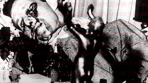 Giuseppe masseria nacque a menfi (provincia di agrigento) in una famiglia di sarti, ma presto si trasferì a marsala, in provincia di trapani.per sottrarsi a un'accusa di omicidio, nel 1903 fuggì negli stati uniti d'america, stabilendosi a new york, dove si unì alla banda criminale di falsari ed estorsori guidata dal mafioso siciliano giuseppe morello. 7 Major Mafia Murders Warning Gruesome Photos Mental Floss