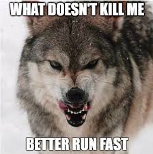 Pin By Ella On Wolves Wolf Quotes Lone Wolf Quotes Warrior Quotes