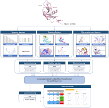 It accounts for about 5 percent of all new cancer cases in the united states. The Structure Based Cancer Related Single Amino Acid Variation Prediction Scientific Reports