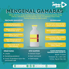 Jabarprov Go Id 75tahunjabar On Twitter Sampurasun Wargi Jabar Di Saat Pasien Covid 19 Mengalami Kondisi Kritis Salah Satu Obat Yang Akan Diberikan Adalah Gamaras Seperti Apa Kegunaan Dan Efek Sampingnya Yuk Simak Informasinya