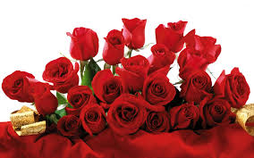 Check spelling or type a new query. Download Rose Bouquet Wallpaper Hd Wallpapers Book Your 1 Source For Free Download Hd 4k High Quality Wallpapers